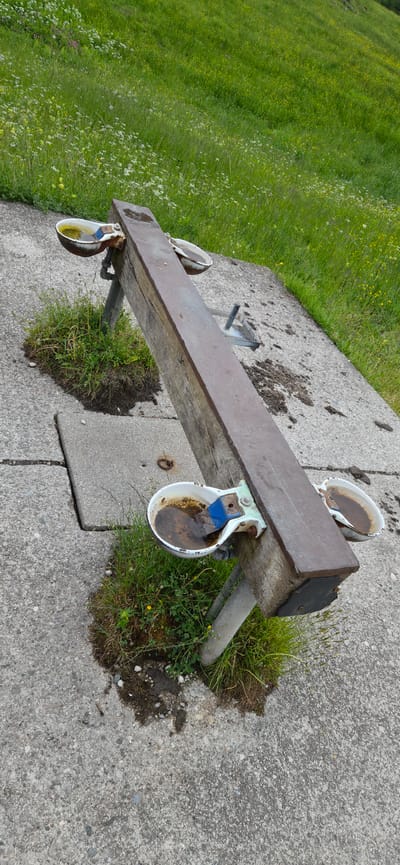 This forensic image, captured in Erl, Austria, depicts a rustic outdoor animal watering station. A long, weathered, rectangular wooden beam, approximately 3 meters in length, serves as the primary structure, supported by two distinct metal bases on a concrete surface. At least four white, enamel-coated animal drinking troughs are affixed to the wooden beam; two are prominently visible on the left side, and two are partially visible on the right. Each trough contains murky, brown water with debris, and features blue and green metal actuation mechanisms. The concrete ground is grey and granular, exhibiting scattered dark, wet soil patches and areas where green grass and weeds grow through cracks, particularly around the wooden structure's supports. A small metal tethering ring is embedded in the concrete near the lower-left corner. The background consists of a vibrant green, sloping meadow densely covered with tall grass and a multitude of small white and yellow wildflowers. No people or animals are present within the frame.