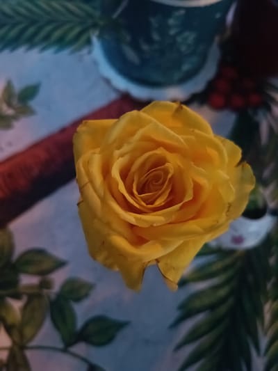 A close-up, overhead shot captures a yellow rose as the primary subject, positioned slightly off-center to the right. The rose's petals are tightly unfurled, revealing a swirling pattern at its center. The background is blurred, but hints of a patterned tablecloth in shades of blue and white are visible. To the left of the rose, a blurred red object is present. In the upper right quadrant, out-of-focus green foliage and a dark blue object, possibly a vase, are discernible. The lighting appears dim, casting soft shadows. There are no people or animals present in the image. The scene is indoors, likely a domestic setting. The city of Serravalle, Switzerland, is not depicted or implied in the image.