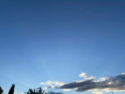 The scene, located in Tighennif, Algeria, depicts an outdoor environment dominated by a vast expanse of clear blue sky. The sky transitions in color from a lighter blue near the lower horizon to a deeper blue in the upper portion of the frame. Multiple cloud formations are present; a prominent, elongated band of dark grey and white-edged stratocumulus clouds occupies the lower right quadrant, accompanied by smaller, scattered white cumulus clouds. Wispy, indistinct cloud remnants are sparsely distributed in the upper sky. Crepuscular rays are visible originating from the lower left, extending upwards and across the sky. The lower edge of the image reveals the dark, silhouetted profiles of several trees, including tall, slender coniferous trees on the far left and additional dark foliage clusters toward the center-bottom. No people, artificial structures, specific objects, or discernible actions are present within the captured frame.