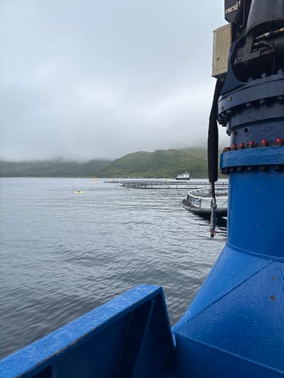 The image depicts a calm body of water with a misty, overcast sky. In the foreground, a large blue industrial object, likely part of a crane or machinery, dominates the right side of the frame. The water is a dark gray with small ripples. In the midground, a series of aquaculture pens are visible, marked by buoys and netting. A small boat is also present in the distance, near the pens. The background shows a sloping, green hillside shrouded in fog. The scene appears to be a section of the harbor or a fjord near Botnhamn, Norway, given the presence of aquaculture and the typical coastal landscape. No people are visible in the image.