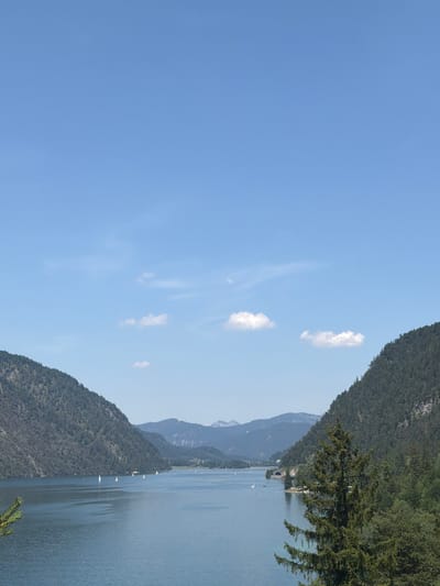 This media file depicts a serene landscape scene. The primary subjects are a vast, calm body of water, likely a lake, and lush, tree-covered mountains that slope down towards the water's edge. Several sailboats with white sails are visible on the water, suggesting a leisurely activity or regatta. In the foreground, the branches of a coniferous tree overhang the scene, adding depth and a natural frame.
The setting appears to be a picturesque natural environment, possibly a resort area given the presence of sailboats and the well-maintained appearance of the mountainside. The time of day is suggested by the bright, clear blue sky with scattered, wispy clouds, indicating fair weather and likely daytime, perhaps late morning or early afternoon. The overall mood is peaceful and tranquil, inviting a sense of relaxation and appreciation for nature.
Notable details include the textured appearance of the mountains, hinting at rocky terrain beneath the dense vegetation. The water's surface shows gentle ripples, reflecting the soft light. There is no visible text within the image. The scene is reminiscent of a European alpine lake, consistent with the provided location context of Pertisau, Austria.
