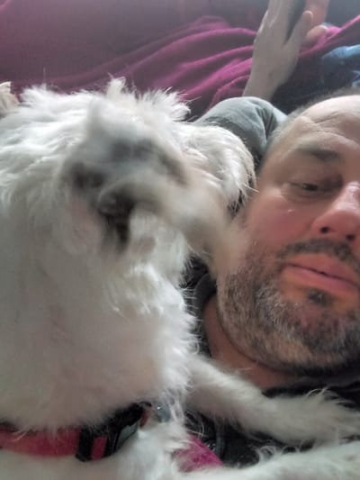 An indoor scene in Libramont, Belgium, features one adult male and one small white dog in close proximity. The man, visible from the upper chest upward, lies on his back, partially obscured by the dog. He has a greying beard, a relaxed facial expression, and is wearing a dark-colored top. His right hand is visible in the upper right background, slightly raised. The dog, a small breed with shaggy white fur, is positioned prominently in the foreground, with its face exhibiting motion blur, directed towards the man's head. The dog wears a pink collar with a black buckle, and a distinct pink marking or strap is visible on its lower left torso. The background consists of soft, deep red-purple fabric, suggesting a domestic setting and intimate interaction between the two subjects.