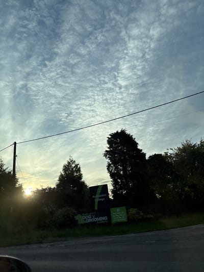 The image shows a street scene in South Staffordshire, United Kingdom, under a cloudy sky. In the foreground, a road is visible, with a slight curve to the right. To the left of the road, there is a silhouette of a telegraph pole with wires extending across the frame. Behind the pole and further back, trees are silhouetted against the sky, with the sun peeking through them on the left side of the image, creating lens flare. In the middle ground, a dark green sign with white lettering is visible, which reads "Rodbaston College" at the top. Below that, another sign in bright green with white lettering says "RODBASTON DOG GROOMING ACADEMY". To the right of the signs, more trees are silhouetted against the sky. The overall impression is of an outdoor, possibly rural, setting at dusk or dawn.