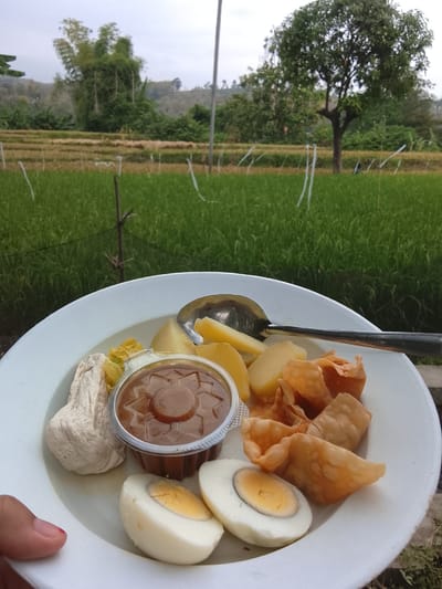 A close-up, eye-level shot shows a white plate filled with food, positioned in the foreground against a blurred backdrop of lush green rice fields and trees. The plate contains a portion of siomay, a steamed fish dumpling, accompanied by boiled eggs, fried dumplings, and a small container of peanut sauce. A metal spoon rests on the plate. The background depicts a rural landscape, with rows of rice paddies stretching into the distance. The sky is overcast. The photo appears to have been taken outdoors, possibly in Gunung Malang, Indonesia, known for its agricultural scenery.
