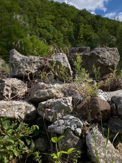 In the foreground, a jumbled pile of large, weathered grey and brown rocks creates a natural barrier. These rocks vary in size and shape, some rough and jagged, others more rounded. Green vegetation, including small leafy plants and dried grasses, grows around and between the rocks. In the middle ground, more rocks continue the textured pattern, with some showing patches of white mineral deposits. The background is dominated by a steep, densely forested hillside covered in lush green trees. The sky above the hillside is visible in patches, with some bright white clouds against a blue background. The scene appears to be outdoors in a natural, possibly rural or mountainous area. This location is likely within the municipality of Paracin, Serbia, given the context. There are no people or animals visible in the image. The overall impression is one of natural decay and overgrown terrain.