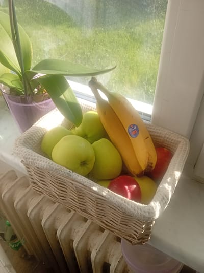The image depicts a woven basket filled with fruits, placed on a windowsill. The basket contains several green apples, two bananas with an "SCB" sticker on one of them, and two red apples. To the left of the basket, an orchid plant in a purple pot is visible. The windowsill overlooks a green outdoor area, likely a lawn or garden, illuminated by sunlight. In the foreground, a section of a radiator is visible. The overall scene is indoor, with natural light streaming in from a window. There are no people or animals present in the image. The location is identified as Liberec, Czechia.