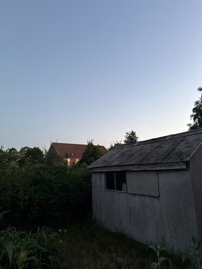 The image shows an exterior scene likely in a residential area of Ipswich, United Kingdom. A small concrete structure with a corrugated roof, possibly a shed or outbuilding, is situated on the right side of the frame. It has a small opening or window. To the right of the shed, there is foliage and grass. Further back, a red-tiled roof of a building is visible amongst the trees. The sky is a pale blue, suggesting dusk or dawn. No people are visible in the image.
