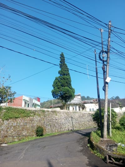 The image shows a street scene in Phouviang-Gnai, Laos. An asphalt road curves to the right, bordered by a stone retaining wall on the left and vegetation on the right. A tall, conical evergreen tree stands behind the wall. Several buildings are visible behind the wall, including houses with red roofs. Above, numerous electrical wires stretch across a clear blue sky. Utility poles are located on the right side of the road, with one featuring coiled cables and a security camera. No people are visible in the frame.