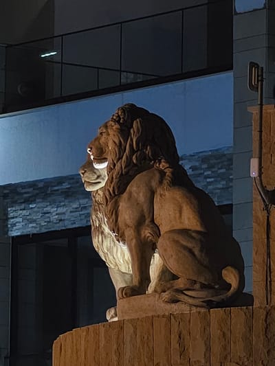The image shows a close-up, low-angle, outdoor night photograph of two stone lion statues situated on a stone pedestal. The statues are positioned side-by-side, facing left, with the larger lion appearing to be in front of a smaller one. The larger lion's mane is detailed, and both statues have a weathered, stone texture. The background consists of a modern building with dark windows and a bright, reflective horizontal surface. A metal railing is visible above the reflective surface. To the right of the statues, a stone-like wall is present, with a black pipe and a small white electronic device with a blue light mounted on it. The scene is illuminated by artificial lighting, creating strong contrasts and highlighting the texture of the stone. The location is identified as Hlorakas Community, Cyprus.