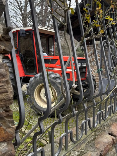The image depicts a static outdoor scene in Longone al Segrino, Italy, viewed through a dark gray wrought iron fence. A red SAME EXPLORER-II tractor, partially visible, occupies the mid-ground. The tractor features a white roof, dark tinted windows on its cab, and large black tires with cream-colored rims. Decals "SYNCROPOWER" and "EXPLORER-II 40KM/H" are visible on its side. It is parked on a paved surface composed of interlocking cobblestones, with green moss growing in the crevices.

The foreground is dominated by the ornate wrought iron fence, which features vertical bars and decorative scrollwork. A thick, gnarled branch with sparse, small green and yellow leaves is intertwined with the fence, secured in places with green ties. To the far left, a rough-hewn stone pillar or wall section, composed of brown and gray stones, partially obscures the view.

In the background, bare deciduous trees with an intricate network of branches are visible under an overcast sky. Behind the tractor and fence, a stone building or wall section, similar in material to the foreground pillar, is topped by a structure with a dark wooden, possibly tiled, roof. No individuals or active subjects are present in the frame.