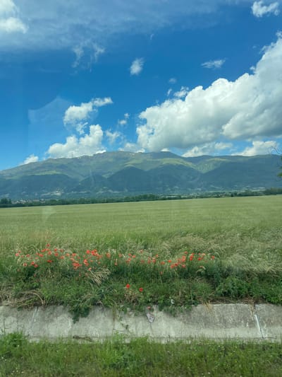 The image presents a vast rural landscape under a bright blue sky populated by scattered white cumulus clouds. A prominent mountain range, characterized by verdant, textured slopes and patches of lighter areas near the peaks, forms the distant horizon. Below the mountains, a wide, uniformly light green agricultural field occupies the mid-ground. A small settlement or village, comprising multiple buildings with reddish-brown roofs interspersed with trees, is visible at the base of the mountains where they meet the field. In the immediate foreground, a weathered grey concrete barrier, resembling a ditch or low wall, runs horizontally across the frame. Dense green vegetation, including tall grasses and a significant cluster of bright red poppy flowers, grows atop and around this concrete structure, primarily on the left side. No people, animals, or explicit actions are discernible. Reflections visible in the upper left sky and subtly across the field suggest the photograph was taken through a window. The visual characteristics of the scene are consistent with a mountainous agricultural region like Tazha, Bulgaria, although the specific city cannot be definitively confirmed from the image itself.