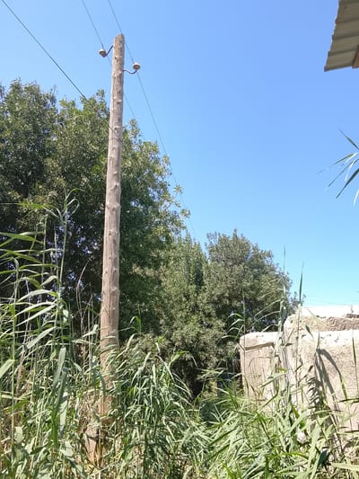 In Kasri Arifan, Uzbekistan, a wooden utility pole stands tall amidst lush green vegetation and trees under a clear blue sky. The pole, weathered and rough-textured, supports two ceramic insulators, each holding a wire. The foreground is dominated by tall, vibrant green reeds and grasses, their long blades swaying gently. In the background, dense trees create a natural canopy, with sunlight dappling through their leaves. To the right, a portion of a rough, stone-built structure, possibly a wall or building, is visible, casting shadows. The scene captures a moment of natural tranquility, with the man-made utility pole subtly integrated into the landscape.