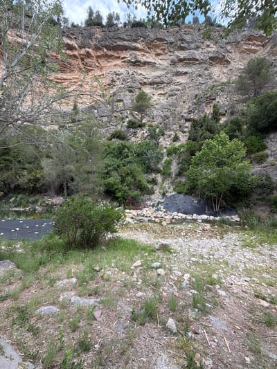 The image depicts a natural landscape, potentially situated near Montanejos, Spain, given the rocky terrain. A tall, steep rock face dominates the left side of the frame, exhibiting variations in color from light grey to tan, and riddled with crevices and formations typical of sedimentary or metamorphic rock. The right side of the image is composed of a mix of gravel, sparse grass, and scattered vegetation, suggesting a dry, possibly mountainous environment. Patches of trees and shrubbery are interspersed throughout the scene, with some trees situated on the side of the rock face.
A black tarp-like material is visible in two distinct locations, potentially acting as a lining or barrier against the rocky ground. Stones are laid along the borders of the tarp in one area.
The overall impression is that of a rugged, natural area possibly undergoing some degree of landscaping or stabilization efforts.