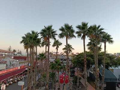 The image depicts a tropical scene in Playa Del Inglés, Spain, at what appears to be dusk. In the foreground are several palm trees, with their trunks obscuring parts of the view. Behind the trees, there is a commercial area with restaurants and shops. "Restaurente 中國城 CHINA TOWN", which translates to "China Town Restaurant," is visible, indicating Asian cuisine. Several tables and chairs are set up outdoors, suggesting dining in the open air, with some people are sitting. Flags of different nations are noticeable in the background. There's a tent-like structure to the right of the frame. The sky is a soft gradient of colors, indicating either sunrise or sunset.