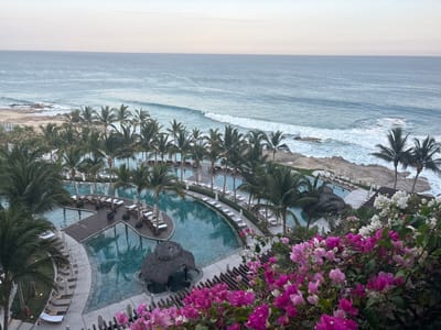 This is an aerial, wide shot of a resort area on the coast of San José del Cabo, Mexico, with the Pacific Ocean in the background. The resort features a large, multi-level swimming pool complex with clear blue water, surrounded by palm trees and lounge chairs with umbrellas. A thatched-roof cabana is situated in the pool. In the foreground, vibrant pink and purple bougainvillea flowers are in bloom. The ocean has moderate waves and a rocky shoreline with more palm trees. The sky is overcast with a soft, diffused light, indicating early morning or late afternoon. There are no people clearly visible.