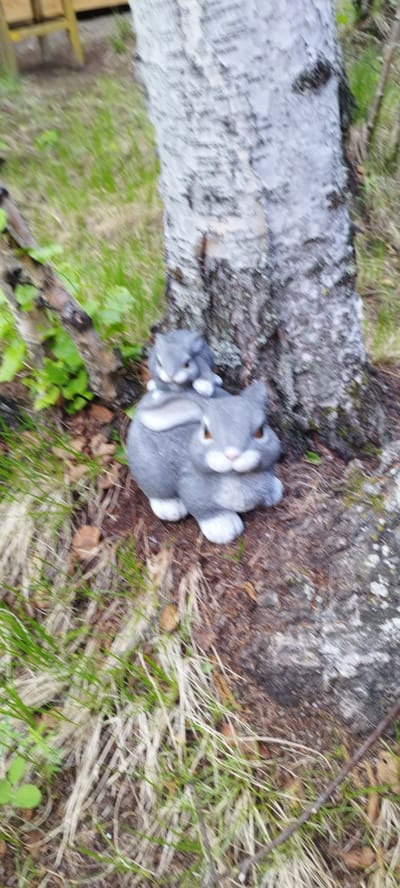 This image captures two grey, ceramic bunny figurines placed on the ground next to the trunk of a birch tree. The larger bunny is in the foreground, facing slightly to the right, with its ears up and its paws resting on the ground. A smaller bunny figurine is perched on the back of the larger one, also facing right. The background shows a grassy area with some dry leaves and a wooden structure faintly visible on the left. The scene is outdoors, with a natural, slightly untidy setting. The image does not provide specific information about the city of Magan, Russia, or any human activity.