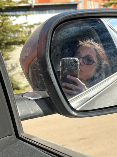 The image presents a forensic close-up of a vehicle's exterior side-view mirror, viewed from an interior perspective. The mirror casing is dark, possibly black or dark gray, and appears dusty. Reflected in the mirror is a person, likely the vehicle's driver or a front passenger, with dark or brown hair, wearing dark sunglasses, and holding a smartphone to capture a selfie. The person's lips are slightly pursed in a kissing gesture. The smartphone, held by the person's right hand, is a silver-colored device with a transparent or light-colored case and a prominent triple-lens camera array. The mirror surface itself is visibly smudged with numerous dirt specks or dried water spots.

Beyond the mirror, in the blurred background, an outdoor urban or suburban environment is discernible. Green foliage from trees or bushes is visible to the left of the mirror. In the upper background, a structure featuring orange-red brick is partially visible, with several icicles hanging from what appears to be a roofline or ledge. Below the mirror, the ground surface is light brown, suggesting either dirt or an unpaved area. The specific location within the city of Sel’khoztekhnika, Russia, cannot be determined from the visual evidence presented.