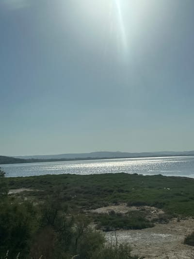 The image depicts a panoramic view of a sun-drenched body of water, likely a lagoon or salt flat, bordered by vegetation. The sky is clear and bright, with the sun positioned high and casting a strong glare on the water's surface, creating a shimmering effect. The foreground features a landscape of dense green shrubs and dry, cracked earth, suggesting a semi-arid or coastal environment. In the background, a distant, hazy shoreline with rolling hills is visible. The scene is natural and serene, with no immediate signs of human activity or man-made structures, except for faint power lines visible on the horizon. The image is likely taken in the vicinity of the "Etang de Bages-Sigean" in Bages, France, a protected natural area known for its wetlands and birdlife.
