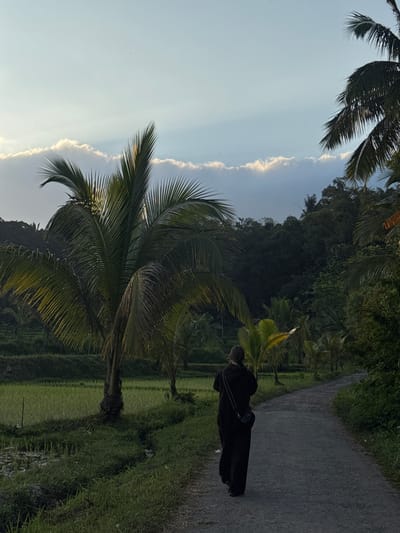 In Tetebatu, Indonesia, a lone individual, viewed from behind, walks along a paved path at dusk. The person is wearing a black hooded jacket and black pants, with a small black bag slung over their shoulder. The path is bordered by lush green grass and vegetation. To the left of the path, vibrant green rice paddies stretch out, characteristic of the Tetebatu landscape. Towering palm trees with large fronds are scattered throughout the scene, their leaves catching the fading light. In the background, a dense forest covers a hillside, and the sky above is a soft blue, streaked with wispy clouds illuminated by the setting sun. The overall atmosphere is tranquil and serene, capturing a quiet moment in a rural Indonesian setting.