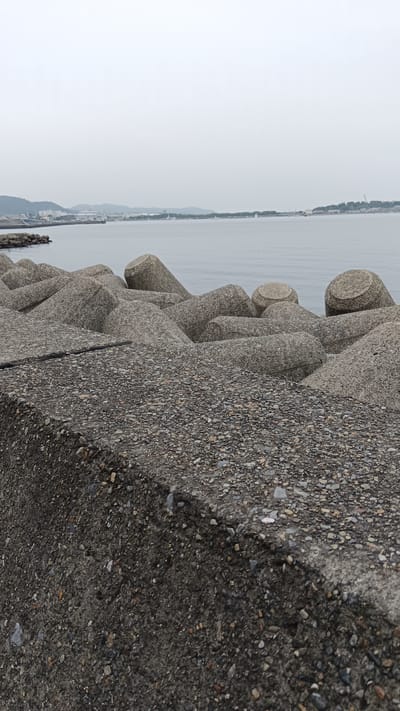 The image depicts a view of the ocean from a breakwater in Tateyama, Japan. The foreground is dominated by a concrete structure with a rough, pebbled surface, leading to a series of large, interlocking concrete tetrapods that form the breakwater. These tetrapods are irregularly placed and vary in size and orientation, creating a textured, geometric pattern.
Beyond the breakwater, the calm, gray water of the sea stretches towards the horizon. The sky is overcast and a pale gray, contributing to the muted color palette of the scene. In the distance, a hazy coastline is visible, with a line of low hills and some scattered buildings, suggesting a populated area. Several small boats or ships can be seen on the water near the distant shore. The overall impression is one of a functional, coastal defense structure against a backdrop of a subdued, maritime landscape. There are no people or animals visible in the image.