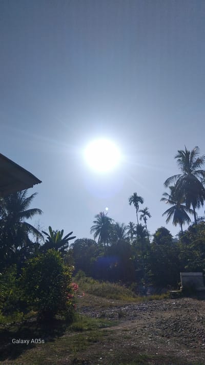 The image depicts a sunny outdoor scene, likely in Rambongpayong, Indonesia, characterized by lush tropical vegetation and a clear blue sky. The sun is prominently featured, appearing as a bright, circular orb with visible lens flare, suggesting it is mid-day. Silhouetted against the bright sky are numerous palm trees, their fronds characteristic of a tropical climate. A portion of a building's roof is visible in the upper left corner, providing a hint of human habitation. The foreground is a mix of dry, rocky ground and sparse green grass, with a more dense patch of greenery and some pink flowers on the left. In the background, a hill covered with dense trees rises behind the palm trees. The overall impression is that of a rural or semi-rural tropical landscape on a bright, clear day.