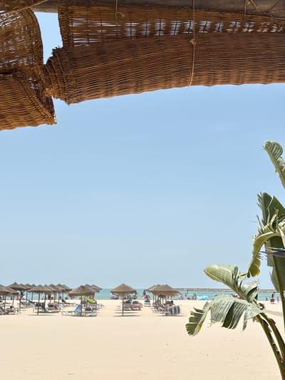A view of a beach, seen vertically. On the left is a straw or woven structure. Above is a clear blue sky. On the right, palm leaves hang over a sandy beach with rows of thatched umbrellas and beach chairs. The sea stretches along the horizon line. The photograph gives a sense of being under a shelter looking out towards a beach scene.