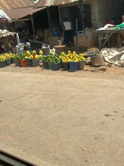 The image depicts a bustling roadside market scene, likely in Karshi, Nigeria, under bright daylight. A long line of plastic buckets, filled with an abundance of mangoes and possibly some green papayas or unripe mangoes, stretches along the edge of a dusty, unpaved road or path. The fruits vary in ripeness, displaying shades of yellow, orange, and green.
On the left side of the frame, behind the fruit display, are several informal market stalls and structures. These are constructed from a mix of corrugated metal sheets, wood, and what appears to be concrete or mud blocks. Tarpaulins are draped over some structures, possibly providing shade or covering goods.
Several individuals are visible within the market. One person wearing a white shirt and dark trousers stands near the fruit buckets, while another in a red top can be seen further back. Inside one of the stalls, a person in a patterned dress is seated, suggesting a vendor attending to their wares. The overall atmosphere is that of a lively, functional outdoor market.
The ground is a light brown, speckled surface, indicative of a mix of dirt and gravel. Shadows are sharp and distinct, confirming a bright, sunny day. No discernible text is visible in the image.