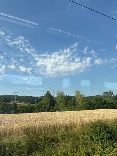 The image captures a rural landscape with a vast field of ripe wheat in the foreground, its golden stalks swaying gently. A dense line of green trees forms the backdrop, beyond which several high-voltage electricity pylons are visible, indicating proximity to infrastructure. The sky is a bright blue, dotted with fluffy white clouds, and contrails from an aircraft are faintly etched across it. The scene is illuminated by bright sunlight, suggesting a clear day. Reflections on what appears to be a window suggest the photo was taken from a moving vehicle. A small white car is partially visible in the distance, on the edge of the wheat field. While the specific location in Leonberg, Germany, is not visually identifiable within the image itself, the presence of such a landscape with agricultural fields and power lines is consistent with the outskirts of a city like Leonberg.