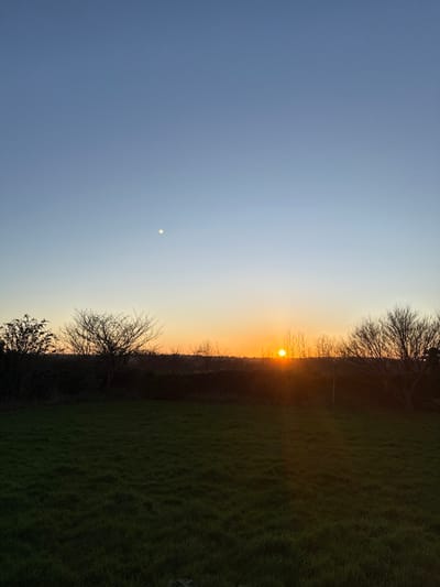 The image presents an outdoor landscape scene in Tideford, United Kingdom, at either sunrise or sunset. The sky, occupying the upper two-thirds of the frame, transitions from a clear light blue at the top to a prominent orange-yellow gradient near the horizon. A circular, pale yellow celestial body, consistent with the moon, is visible in the upper-left quadrant of the blue sky. The sun, a distinct bright orange orb, is situated low on the horizon, slightly right of the frame's horizontal center, emitting strong light. Below the sun and spanning the horizon, a continuous line of silhouetted, bare deciduous trees and dark, dense shrubs is present. The foreground, comprising approximately the lower half of the image, consists of an expanse of uniformly green, manicured grass. No individuals, specific man-made structures, or active interactions are discernible within the depicted environment.
