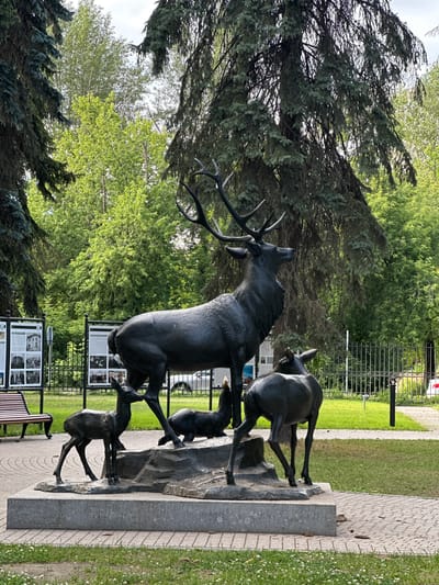 This media file depicts a bronze sculpture of a stag and several fawns in an outdoor setting. The stag is the largest figure, with its mouth open, appearing to be in mid-call or movement. Two fawns are positioned around the stag, one appearing to be a bit larger than the other. Another fawn is seen further down and to the right. The sculpture is set on a grey stone base.
The background shows lush green trees, some with mature foliage and others appearing as younger, brighter green. A black metal fence runs along the back of the scene, separating the sculpture area from a grassy expanse and a paved walkway. Beyond the fence, there are some information boards with text and images, suggesting this is a public space, possibly a park or a historical site. The paving stones on the walkway are made of brick.
The lighting suggests it is daytime, with shadows visible, indicating a partly sunny or overcast sky. The overall scene conveys a sense of nature and wildlife, captured in a static, artistic form.
There are several visible signs with text and photographs, but the text is not legible at this resolution. The location context provided is Kotelniki, Russia.