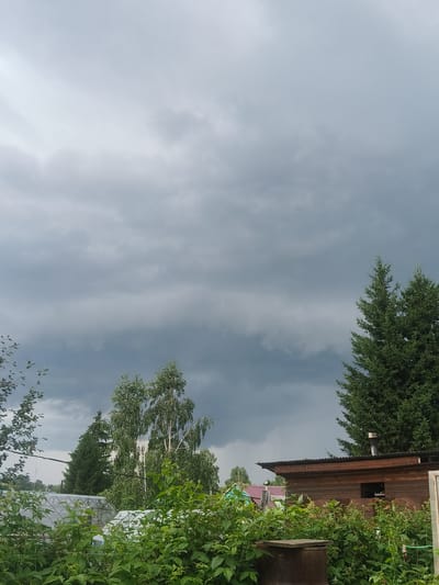 The image depicts an overcast sky with heavy, dark clouds over a rural landscape. In the foreground, lush green foliage and berry bushes are visible. Behind the vegetation, a wooden building with a corrugated metal roof and a chimney stands to the right. Further back, several trees, including a tall evergreen and a birch tree with white bark, are present. A greenhouse structure with a white frame and translucent covering is also visible among the trees. The overall impression is one of a natural setting on a cloudy day, possibly before a storm, in the Berezovaya Roshcha area of Russia.