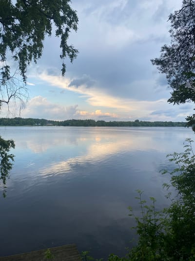 The image depicts a serene lake with a treeline on the opposite shore under a cloudy sky. The foreground features branches and leaves of trees on the left and right sides, framing the view. The water is calm and reflects the sky and the distant trees. A small wooden dock is visible in the lower left corner. The environment suggests a natural, possibly rural, setting. The scene is devoid of any people or overt actions. The lighting indicates it is likely late afternoon or early evening.