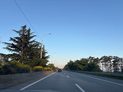The image shows a view from a car traveling on a highway in the early morning or late afternoon. The sky is clear and blue, with a faint haze in the distance. Tall evergreen trees line both sides of the road, with some smaller bushes and flowering plants on the left. A concrete barrier separates the lanes, and lampposts are visible along the side of the road. A dark-colored SUV is driving in front of the camera. The highway appears to be in a semi-rural or suburban area, possibly on the outskirts of Gorovani, Georgia.