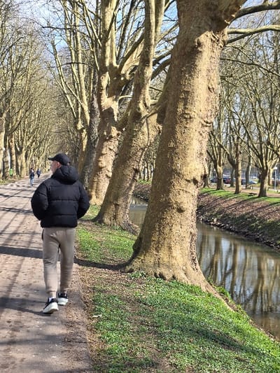 The image displays a canal-side path in Zweibrücken, Germany, likely adjacent to the Schwarzbach river or one of its canals, under clear, sunny conditions. A male subject is observed from behind, walking away from the camera on a paved path towards the left side of the frame. He wears a black baseball cap, a black puffer jacket, light beige sweatpants, and black athletic shoes with white soles. His head is slightly turned to his left.

To the right of the path, a parallel row of mature, bare deciduous trees, characterized by textured, light brown bark, stands between the path and the body of water. The trees' branches are devoid of foliage, indicating late winter or early spring. A calm, narrow body of water runs alongside the trees, reflecting the bare branches and the clear blue sky. Green grass and scattered groundcover vegetation are visible on the sloped bank between the trees and the water, and along the unpaved edge of the path.

In the distant background, two additional indistinct human figures are walking further along the same pathway. Beyond the water, another line of bare trees is visible, with what appears to be a distant street or parking area containing vehicles discernible through the trees. The sky is uniformly clear and blue, and direct sunlight casts distinct shadows on the path and ground.