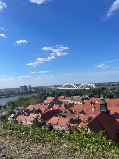 An aerial view from the Petrovaradin Fortress in Serbia. The sky is blue with scattered small clouds. Below, a river runs between a city and green space. The city consists of red-roofed buildings and a large, white arch bridge. The edge of the fortress, with green foliage, is visible in the foreground.