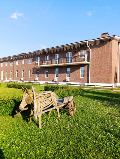 The image shows a rural landscape with a brick building in the background. The building is two stories high with a dark roof and numerous windows. A balcony with a black metal railing is visible on the second floor. White icicle lights are strung along the eaves of the roof. In the foreground, a wooden sculpture of a donkey pulling a cart sits on a green lawn. The donkey is made of light-colored wood, and the cart has a wooden body and a single wooden wheel. The lawn is covered in green grass and small white flowers. A low wooden fence runs along the edge of the lawn in front of the building. The sky above is clear and blue with a few wispy clouds. The scene appears to be a well-maintained outdoor area, possibly a park or a private residence.