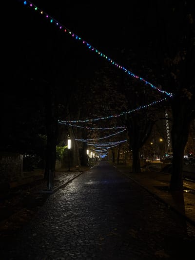 The image, correctly oriented, depicts a nocturnal outdoor scene, likely a pathway or avenue in Carouge, Switzerland. The primary subjects are numerous strings of colorful LED lights, possibly festive decorations, suspended in graceful swags between trees. These small, multi-colored lights glow in shades of blue, pink, green, and yellow, illuminating the immediate area.
The trees, mostly bare or with sparse dark foliage, appear as silhouettes against the dark night sky. To the right, a paved walkway or street is visible, constructed from dark, textured stones resembling cobblestones. Patches of the paving appear wet and reflective, suggesting recent rain or damp conditions. Several ground-level streetlights cast bright pools of light onto the path and the lower sections of the trees. A dark, textured wall or building facade runs along the far right edge of the pathway, also catching some light. In the distance, further lights suggest other structures or urban activity.
The scene is devoid of people, contributing to a calm and serene atmosphere. The presence of decorative lights strongly indicates a festive period, such as holiday celebrations in winter. There is no visible text in the image.