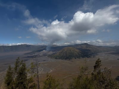 This is a wide-angle, eye-level view of the Tengger Caldera, a vast volcanic landscape near Cemorolawang, Indonesia. The foreground is dominated by the tops of several pine trees and sparse, dry foliage, obscuring the lower portion of the scene.
In the mid-ground, the expansive "Sea of Sand" stretches across the frame. This flat, arid plain is characterized by a dry, brown, and grey surface, crisscrossed by winding, lighter-colored tracks that appear to be the routes used by vehicles and people. Two prominent volcanoes are visible within the caldera. To the right, a large, conical volcano, likely Mount Batok, is covered in green vegetation, suggesting a dormant state. To the left, a smaller, ash-colored volcano, Mount Bromo, is actively emitting a plume of white smoke, indicating volcanic activity. The base of Mount Bromo shows evidence of a settlement or tourist facilities.
The background consists of rolling, mountainous terrain, covered in varying shades of green and brown. The slopes appear steep and rugged. The sky above is a vibrant blue, dotted with large, fluffy white cumulus clouds, some of which cast shadows on the landscape below. The lighting suggests it is daytime, likely late morning or early afternoon, with the sun casting distinct shadows. No people are visible in this scene.