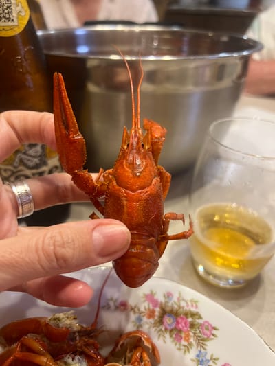 In this close-up shot, a person's hand holds a cooked crawfish, its bright red shell contrasting with the person's skin. The crawfish is positioned with its tail facing left and its claws slightly raised, revealing its segmented body and antennae. The background is softly blurred, showing glimpses of a table setting. To the left, a tall, metallic object, possibly a pitcher or carafe, stands on the table, reflecting light. Next to it, a clear glass filled with a golden liquid, likely beer or a similar beverage, is visible, with small bubbles clinging to its surface and droplets on the outside. Further to the right, a white plate with a floral pattern, featuring pink, blue, and green blossoms, is partially in view, with more cooked crawfish scattered on it. The overall scene suggests a meal or gathering where crawfish is being served. There is no visible text in the image. The lighting appears to be indoor, and the soft focus and warm tones suggest a casual, possibly evening, meal.