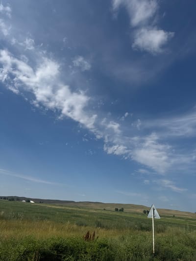 The image depicts a rural landscape under a bright blue sky with scattered white clouds. In the foreground, tall green and yellow grass dominates, with a few darker red plants visible. A weathered, triangular road sign with a white pole stands to the right, facing left. In the mid-ground, rolling hills covered in green fields stretch across the horizon. Several trees are scattered on these hills, and in the distance, white buildings, possibly farmhouses, are visible. The environment appears to be agricultural land. The specific location is noted as the village of Umbetali Karibaev in Kazakhstan.