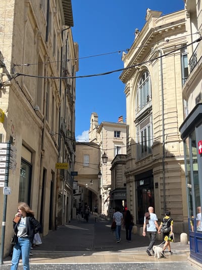 Here is a detailed description of the image:

The image captures a street scene in Montpellier, France. It appears to be a narrow, pedestrian-friendly street lined with tall buildings, most of which have an older, European architectural style, evidenced by features like arched windows, detailed facades, and stone or stucco construction.

The sky is a clear blue.

People are present, engaging in various activities. On the right side of the image, a man leads a small white dog, while another person follows closely. Other people are walking down the street, suggesting that it is a busy thoroughfare.

The street is paved with a stone or brick pattern.

There are several street signs, storefronts, and electrical cables running across the street, contributing to the urban environment.