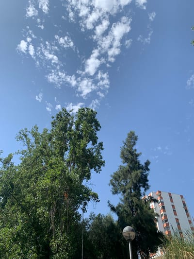 The image depicts a clear blue sky with scattered white cumulus clouds above a lush green canopy of trees. In the background, a white building with orange trim and multiple windows is visible. A tall, slender evergreen tree stands in front of the building. In the foreground, a street lamp with a circular shade is partially obscured by foliage. The scene suggests an urban environment, possibly in Odivelas, Portugal, given the architectural style of the building and the types of trees. There are no people or animals visible in the image.