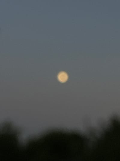 The image shows a blurred, circular object that is likely the moon, due to its pale yellow color and round shape. It is situated against a muted, grey sky, suggesting either dawn or dusk, or a heavily overcast day. To the right of the frame, a dark, indistinct shape of foliage is visible, potentially trees or bushes, casting a shadow or simply being a natural element in the foreground. The scene is overall dim and hazy, with a lack of sharp detail. There are no people or discernible objects apart from the celestial body and the vegetation. The overall impression is one of a quiet, natural setting, possibly rural, given the location context. The time of day appears to be twilight. The weather is likely overcast or hazy, contributing to the muted colors and soft focus.
