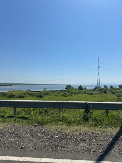 The image shows a wide, calm body of water, likely a bay or estuary, under a clear blue sky. In the foreground, a metal guardrail separates the road from a grassy embankment. Beyond the embankment, the water stretches to the horizon, with a line of trees and hills in the distance. A tall electricity pylon stands on the right side of the image, with power lines extending across the sky. The scene suggests a rural or semi-rural setting near a body of water, possibly along the coast of Poti, Georgia, given the presence of infrastructure like the pylon and guardrail indicating a road. The environment is characterized by open space, water, and vegetation under daylight conditions.