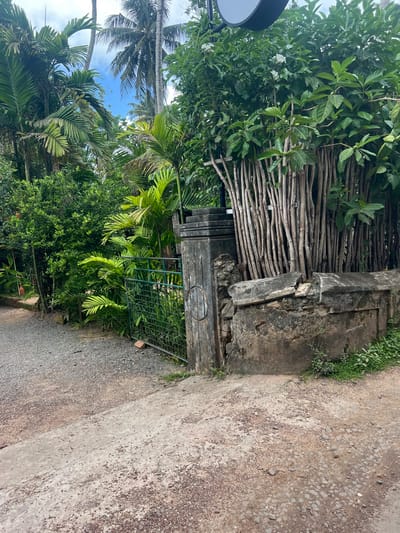 The image depicts a weathered gateway or entrance situated in Olaganduwa, Sri Lanka. The gateway consists of aged stone or concrete pillars and a section of a wooden fence, possibly constructed from tree branches or thin logs. Vegetation overgrows the structure, with trees and shrubs abundant on either side of the entrance. The gate itself is partially open, constructed from a green metal mesh or wire, and is partly obscured by plant growth. A concrete pathway or driveway leads to the gateway. The scene suggests a rural or semi-rural environment where nature and human structures coexist.