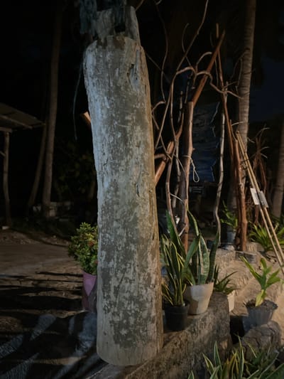This image captures an outdoor scene at night, likely in Legonipah, Indonesia. The foreground is dominated by a large, weathered wooden post. Behind it, a variety of potted plants, including snake plants and a bush with red flowers, are arranged on tiered stone steps. Several thin, dry branches are propped up behind the post, creating a rustic, somewhat chaotic backdrop. In the distance, the silhouettes of palm trees and a simple structure suggest a tropical or coastal environment. The lighting is dim, casting long shadows and highlighting the textures of the wood and stone. There are no people visible in the frame.