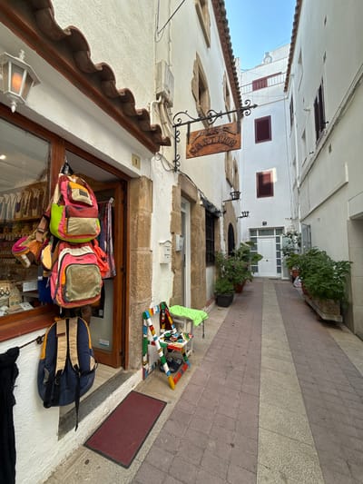 The image shows a narrow pedestrian alleyway in the old town of Tossa de Mar, Spain. The alley is lined with white-washed buildings, some with traditional tiled roofs and dark shutters. A storefront on the left displays colorful backpacks hanging outside, with a large display window showcasing merchandise. A weathered wooden sign hangs from a wrought-iron bracket above the storefront, reading "LA CANTINA". Plants in terracotta pots are placed along the sides of the alley, leading towards a white door at the end. The ground is paved with rectangular stone tiles. The scene is devoid of people.