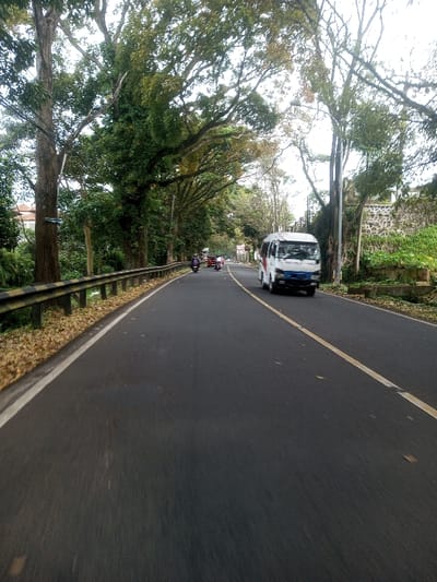 This image depicts a two-lane paved road in Sat Thay (East), Myanmar. The road surface is dark asphalt, marked with a solid white line along its left edge and a solid yellow line down the center. Scattered dry leaves are visible on the road shoulders. A white mini-bus with blue and red markings on its front is traveling towards the viewer in the right lane. Further down the road, in the left lane, a dark-colored motorcycle, a lighter-colored motorcycle, and a red three-wheeled vehicle or another motorcycle are moving away from the viewer.
On the left side of the road, a metal guardrail with black and yellow stripes runs parallel to the pavement. Beyond the guardrail, dense green foliage and tall trees with full canopies line the roadside. A utility pole with wires is present among the trees, and a light-colored building is partially visible in the background through the vegetation. On the right side of the road, large trees with green leaves are visible, and further back, a stone retaining wall topped with green plants can be seen. Another utility pole stands closer to the road on this side. The scene is illuminated by natural daylight.