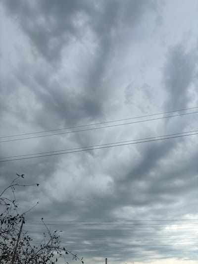 The image displays an overcast sky with thick, grey clouds stretching across the frame. Several horizontal power lines are visible, running from left to right across the middle section of the image. In the lower left corner, a silhouette of a bare tree with a few remaining leaves is present. In the far distance, at the bottom of the image, a faint industrial structure with a smokestack can be discerned against the lighter horizon. The scene appears to be set in an urban or semi-urban environment on a cloudy day, with no people visible. The location is not Leyptsig, Russia, but rather an unspecified location.