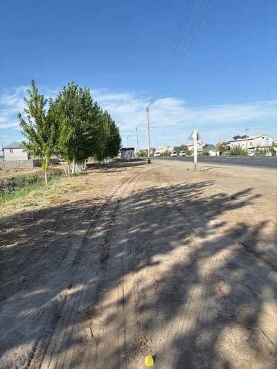 The image depicts an outdoor scene in what appears to be a semi-arid or rural environment. The orientation of the image is vertical. The foreground is dominated by a dirt road or path with visible tire tracks, suggesting vehicular activity. The texture of the ground is dry and dusty, with some cracked earth and scattered debris. Sunlight casts distinct shadows of tree foliage across the road, indicating it is likely daytime.

To the left of the road, there is a substantial green tree with full foliage. Behind the tree, a row of smaller trees with white trunks is visible, as is a low fence and some construction materials or unfinished buildings. Further in the background, a cluster of houses with white walls and dark roofs can be seen, along with some solar panels on one of the rooftops. A white sign on a pole is also present. Power lines stretch across the sky, supported by utility poles. The sky is a clear, vibrant blue with a few wispy white clouds.

In the upper right quadrant of the image, a small, bright yellow object rests on the ground near some dry grass. The overall atmosphere of the image is peaceful and sunny, with a sense of ongoing development or construction in the residential area. No people are visible in the frame. The lighting and shadows suggest it is likely mid-morning or late afternoon. The presence of solar panels and the style of the houses might offer clues to the specific region, though without more context, it's difficult to pinpoint the exact location. The text on the white sign is too small and indistinct to be read.
